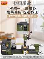 PF250/BL 鉆銑磨機頭