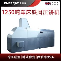 BM-12531恩派特1250吨车床铁屑压饼机